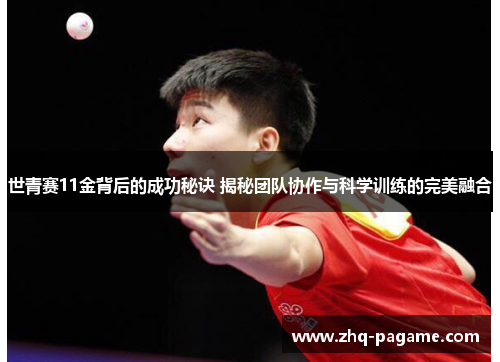 世青赛11金背后的成功秘诀 揭秘团队协作与科学训练的完美融合 世青赛11金背后的成功秘诀 揭秘团队协作与科学训练的完美融合