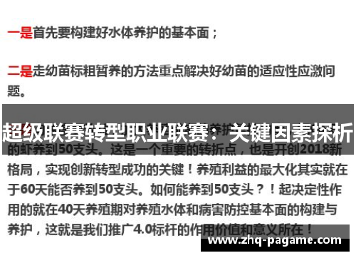 超级联赛转型职业联赛:关键因素探析 超级联赛转型职业联赛:关键因素探析